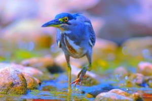 成都体育彩票商场电话号码全解析成都体育彩票商场电话号码