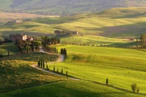 中国体育彩票倍率解析，如何最大化收益中国体育彩票倍率是多少